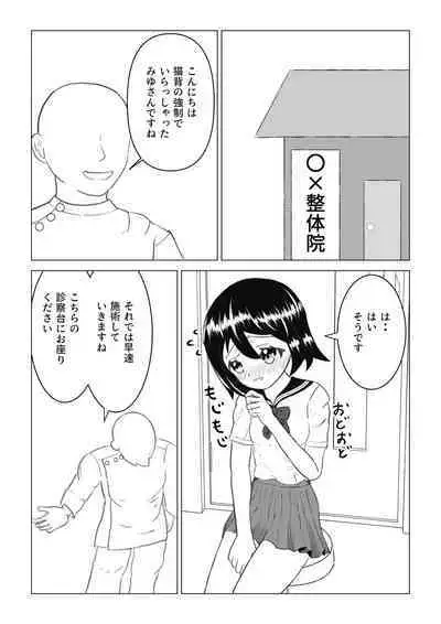 Hentai Seitai