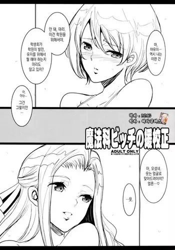 Mahouka Bitch no Enkousei