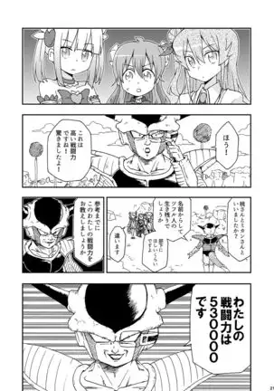 Wareme Mienai Shashin Senshuken 2