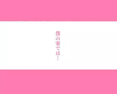 世界のお義母さん達 〜スケベな文化をもつお義母さん達が息子のあなたを狙っている〜