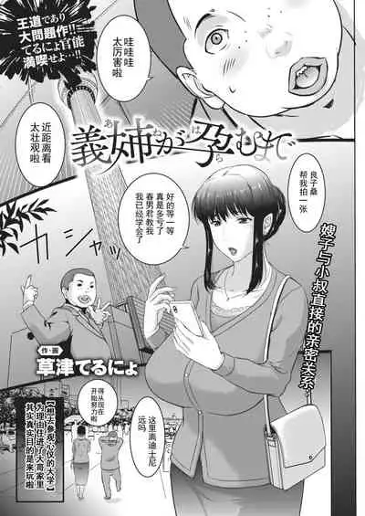 義姉が孕むまで