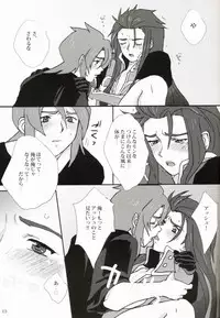 [hoimi (Hoimin)] An unnecessary toy (Tales of the Abyss)