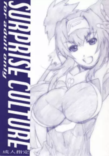 (C74) [Studio N.BALL (Haritama Hiroki)] SURPRISE CULTURE (Macross Frontier)