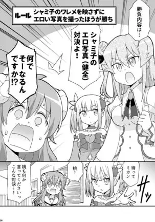 Wareme Mienai Shashin Senshuken 2