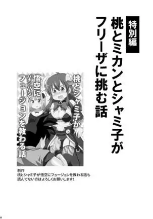 Wareme Mienai Shashin Senshuken 2