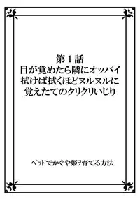 [Kanpyou Master] Bed de Kaguya Hime o Sodateru Houhou 1 [Digital]