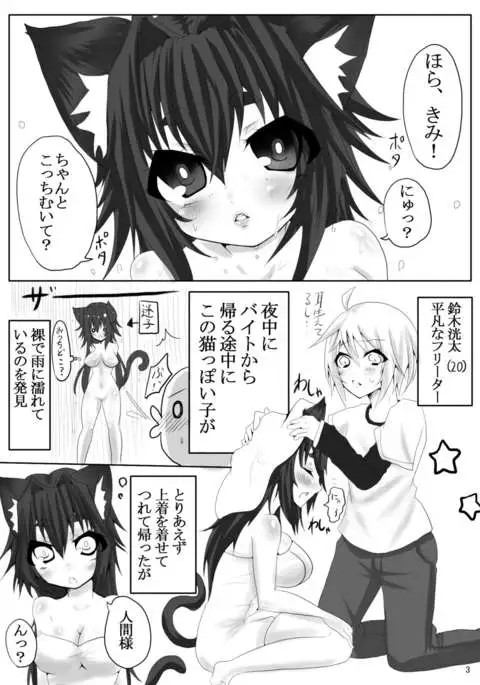 ねこみるく