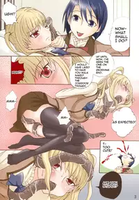 (C76) [Shamontei (Shamon)] Maria Mania (Maria†Holic) [English] [jbik]