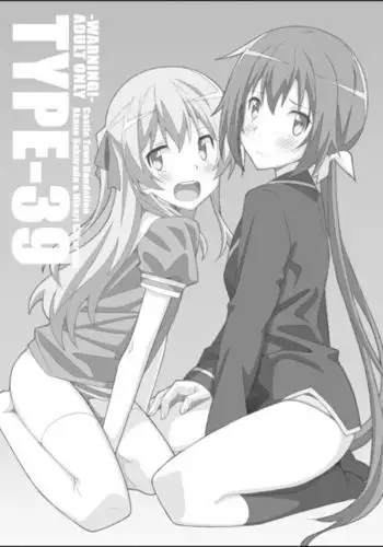 TYPE-39